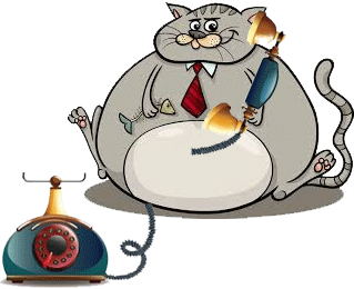 footer image